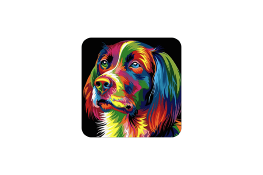 Splash n Recolor for Mac v4.3