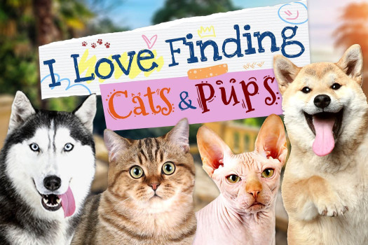 我爱找小猫小狗 I Love Finding Cats & Pups Collector’s Edition for Mac v1.0 英文原生版