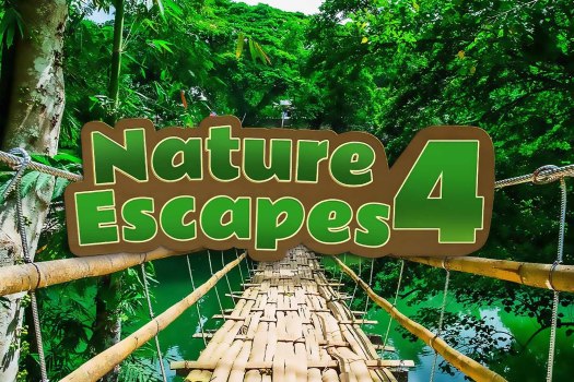 逃离自然4 Nature Escapes 4 Collector’s Edition for Mac v1.12 英文原生版