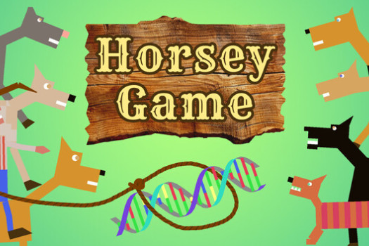 赛马游戏 Horsey Game for Mac v1.59 英文原生版